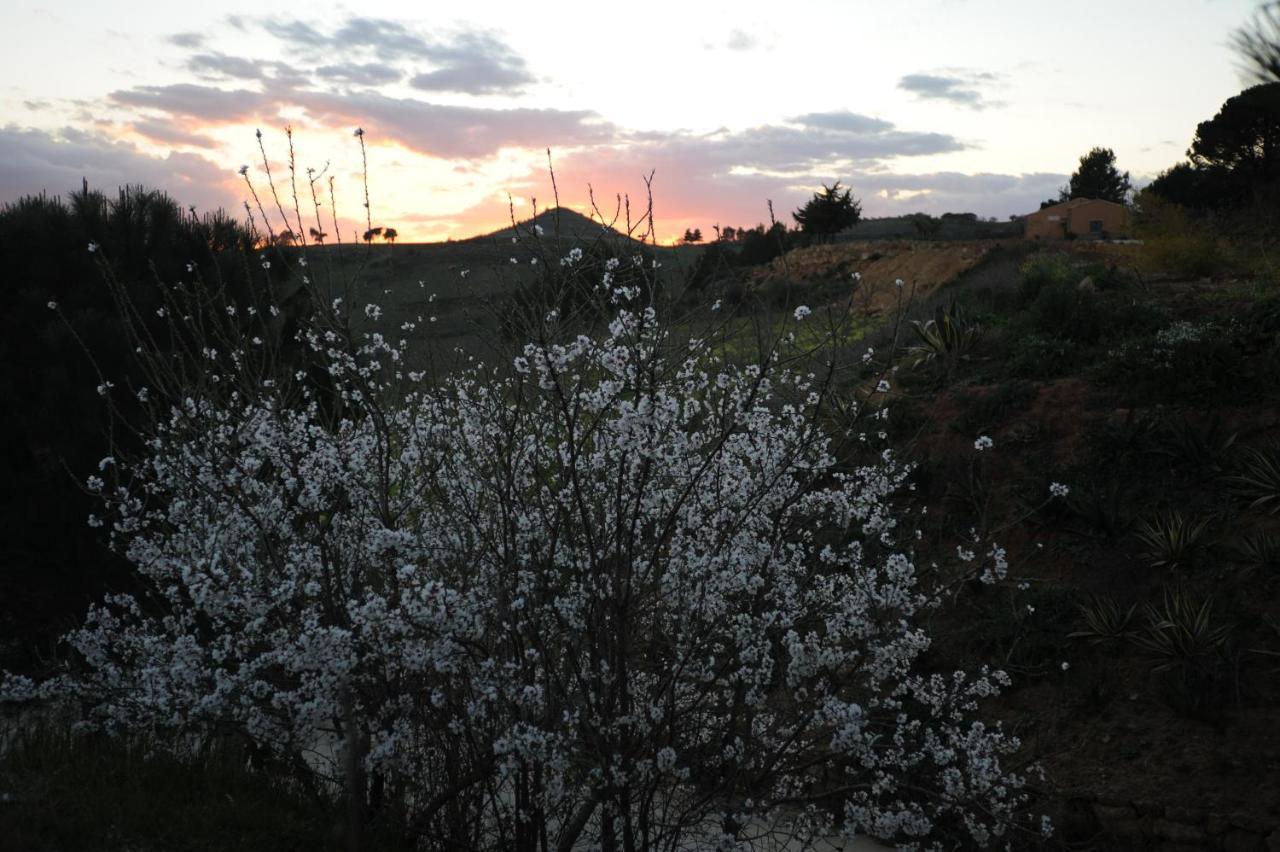 Agriturismo Il Drago Mirabella Imbaccari Bagian luar foto